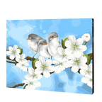 Backyard Birds Paint by Numbers