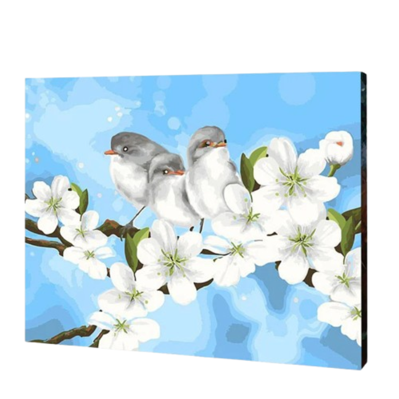 Backyard Birds Paint by Numbers