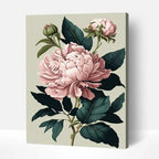Garden Peony Paint by Numbers