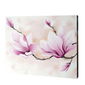 Magnolia Blossoms Paint by Numbers