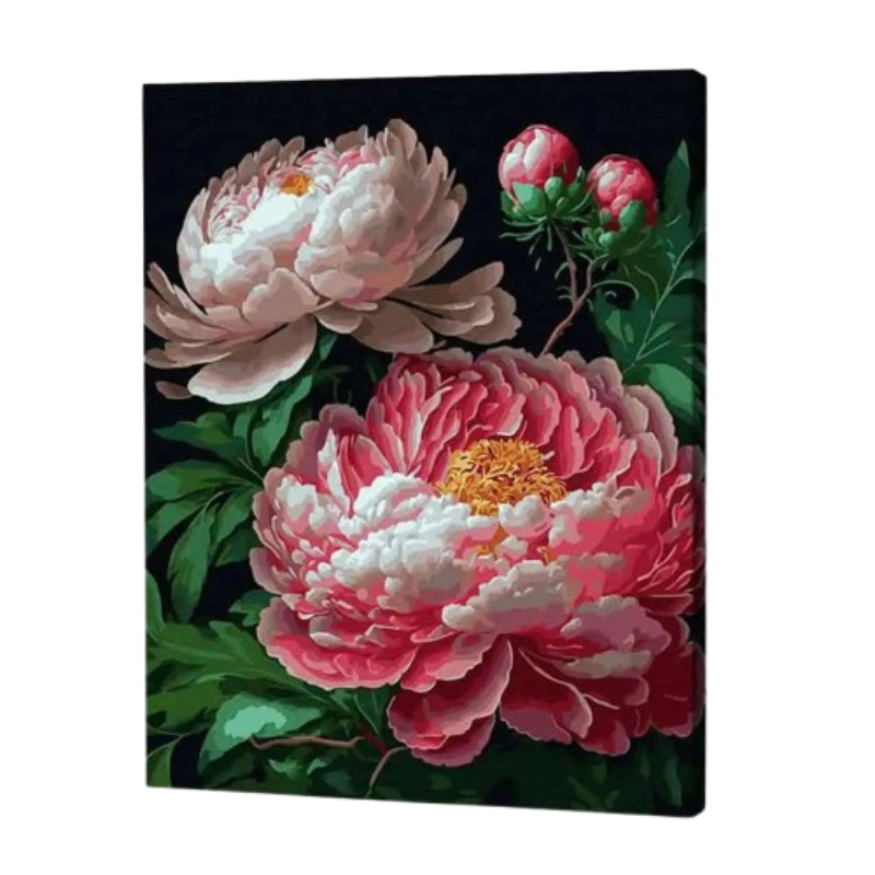Peonies in Moonlight Paint by Numbers