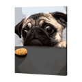 Hungry Dog Paint by Numbers

